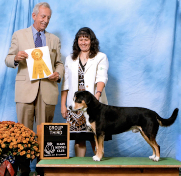 Data 3rd place Herding Group Elgin Illinois