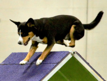 Data flying over the A-Frame