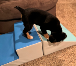 Duncan climbing