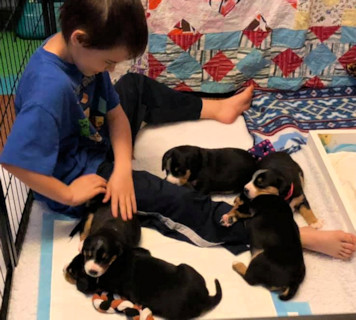 our nephew with 3 week old puppies 