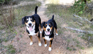 Data and Jaylah hiking